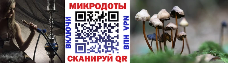 нарко площадка официальный сайт  Шарыпово  Псилоцибиновые грибы Psilocybine cubensis  МЕГА tor 